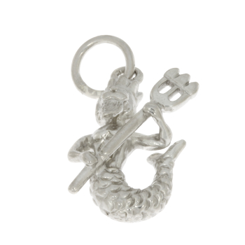 Preview: preciouse lane - Anhänger 925 Silber rhodiniert Tierkreiszeichen WASSERMANN