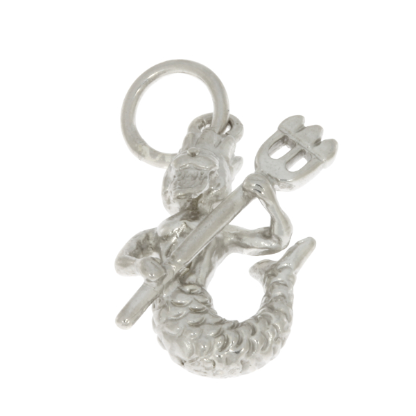 preciouse lane - Anhänger 925 Silber rhodiniert Tierkreiszeichen WASSERMANN